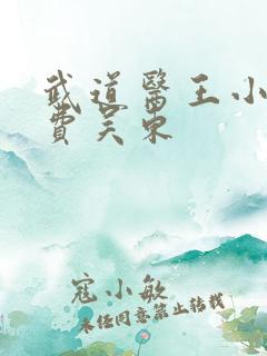 武道医王小说免费吴东