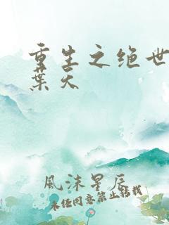 重生之绝世弃少叶天