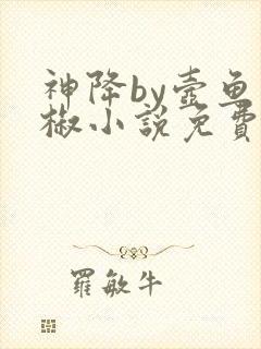 神降by壶鱼辣椒小说免费阅读笔趣阁