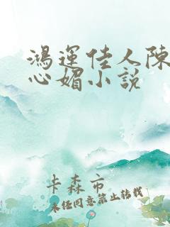 鸿运佳人陈斌赵心媚小说