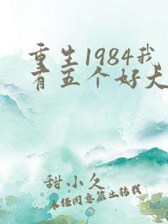重生1984我有五个好大姨全本