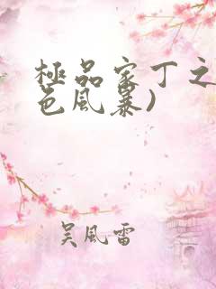 极品家丁之(黑色风暴)