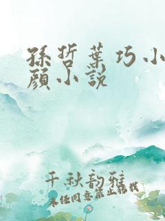 孙哲叶巧小妈朱颜小说