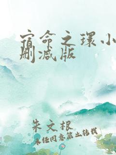 宿命之环小说无删减版