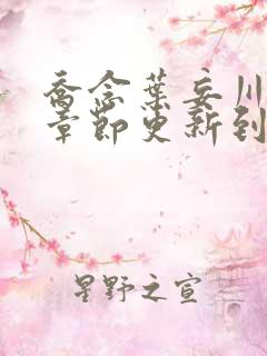 乔念叶妄川最新章节更新到哪里了