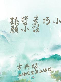 孙哲叶巧小妈朱颜小说