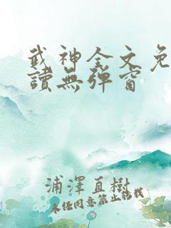 武神全文免费阅读无弹窗