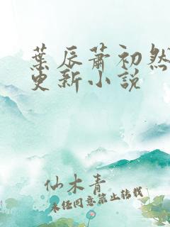 叶辰萧初然最新更新小说