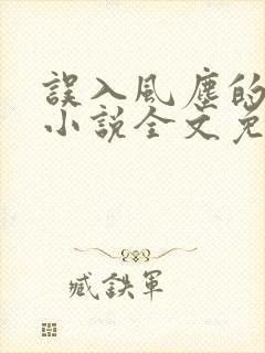 误入风尘的爱情小说全文免费阅读