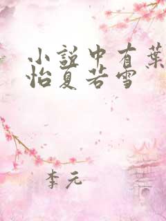 小说中有叶辰孙怡夏若雪