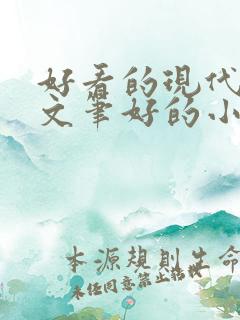 好看的现代言情文笔好的小说