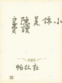 良陈美锦小说免费读