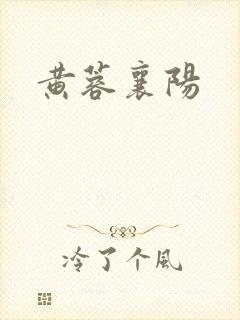 黄蓉襄阳