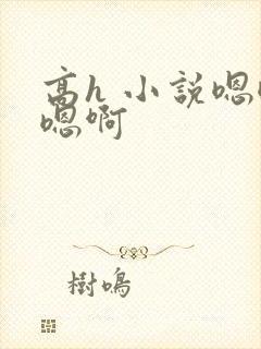 高h 小说嗯嗯嗯啊