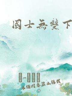 国士无双下载