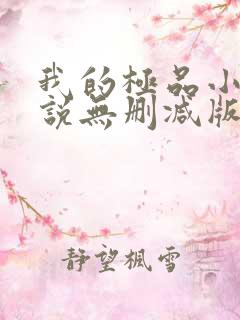 我的极品小姨小说无删减版