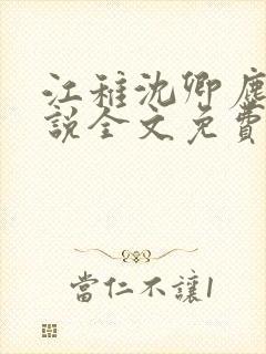 江稚沈卿尘的小说全文免费阅读最新