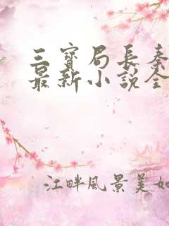 三宝局长秦守仁最新小说全文阅读