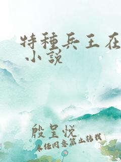 特种兵王在山村 小说