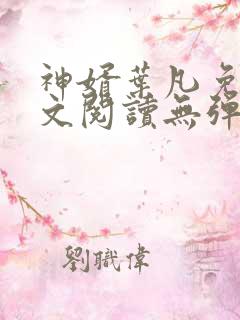 神婿叶凡免费全文阅读无弹窗