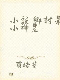 小说 乡村最强小神农