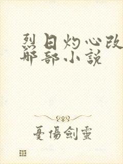 烈日灼心改编自哪部小说