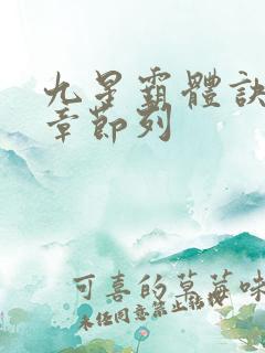 九星霸体诀最新章节列