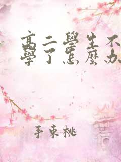 高二学生不想上学了怎么办
