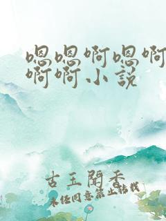 嗯嗯啊嗯啊啊啊啊啊小说