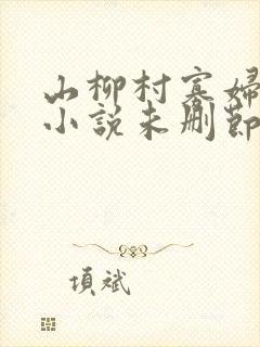 山柳村寡妇情史小说未删节版免费阅
