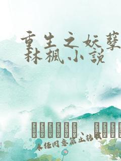重生之妖孽人生 林枫小说