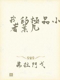 我的极品小姨作者叶凡