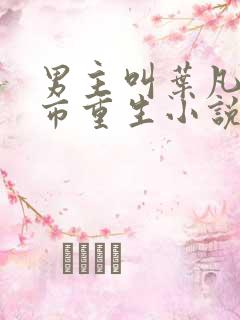 男主叫叶凡的都市重生小说
