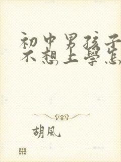 初中男孩子叛逆不想上学怎么办