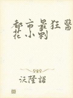 都市最狂医仙 花小刺