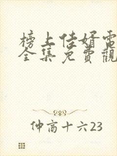 榜上佳婿电视剧全集免费观看高清