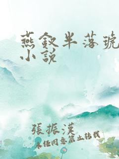 燕钗半落琥珀糖小说