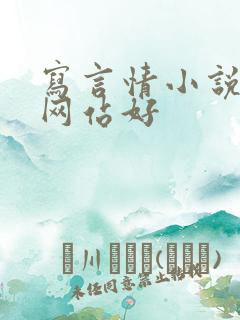 写言情小说哪个网站好