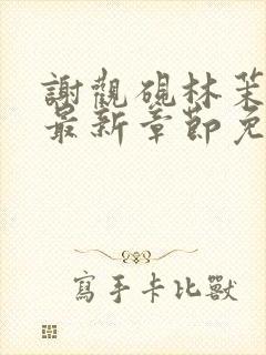 谢观砚林茉小说最新章节免费阅读全文