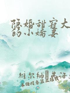 隐婚甜宠大财阀的小娇妻