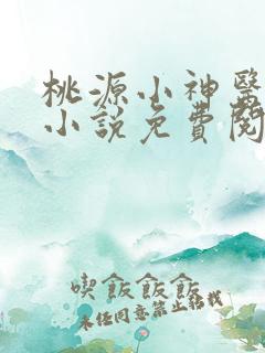 桃源小神医王晨小说免费阅读