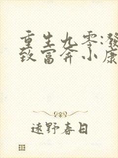重生九零:发家致富奔小康 全本
