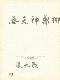 吞天神鼎柳无邪