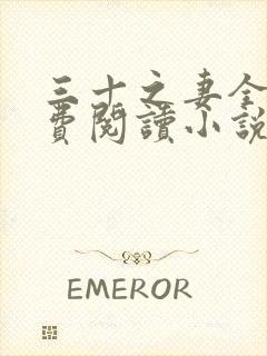 三十之妻全文免费阅读小说