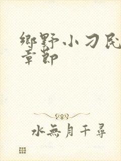 乡野小刁民最新章节