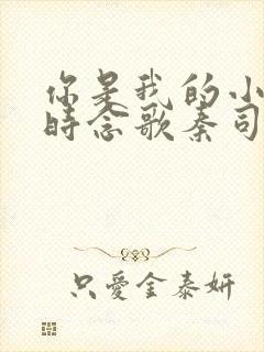 你是我的小情歌时念歌秦司廷全文免费阅读