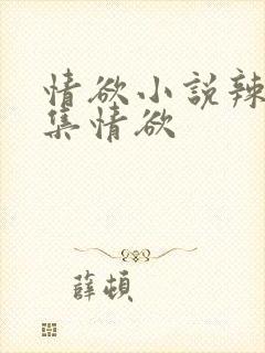 情欲小说辣文合集情欲