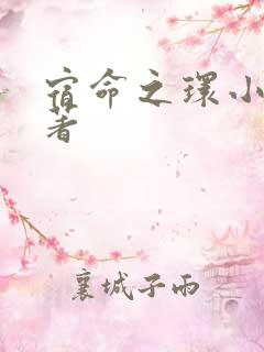 宿命之环小说原著
