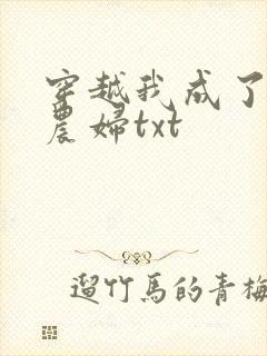 穿越我成了已婚农妇txt