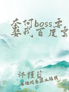 奈何boss要娶我百度云